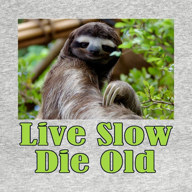 Mr Sloth Says: Live Slow, Die Old by Naves